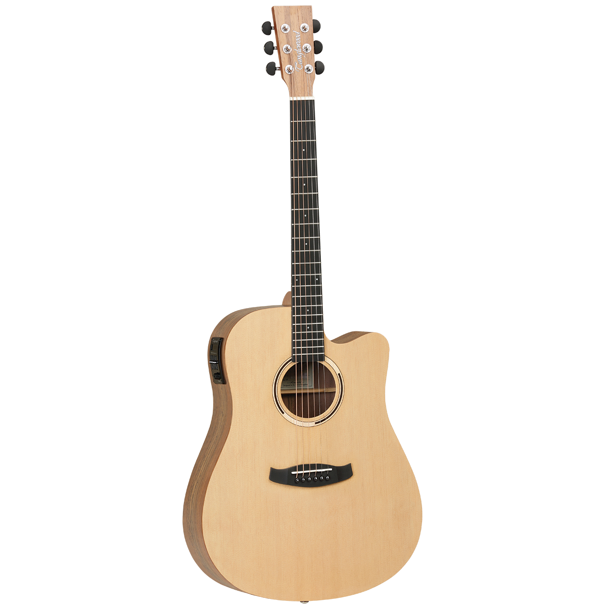 Tanglewood Discovery Exotic Dreadnought Electric Acoustic - Hawaiian Rainwood - TDBTDCEHR