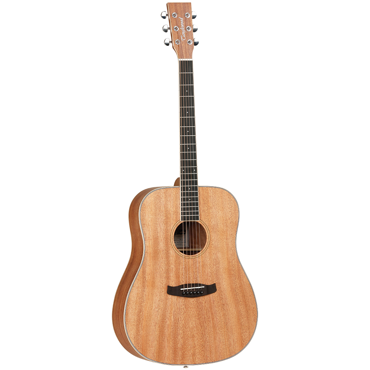 Tanglewood Union Dreadnought Solid Top Steel String Acoustic - TWUD